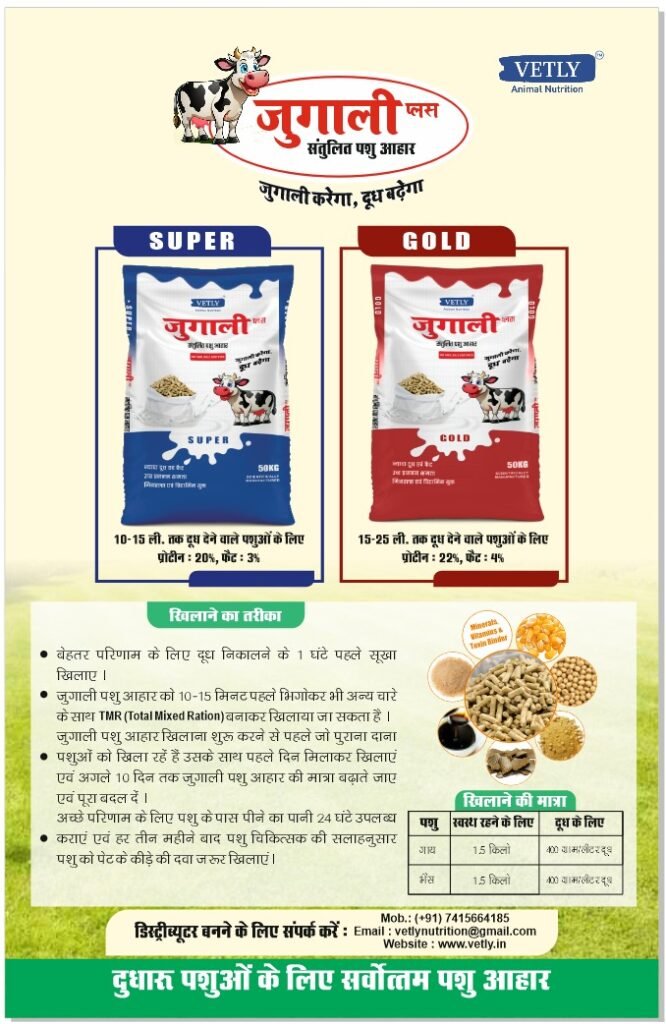 जुगाली पशु आहार