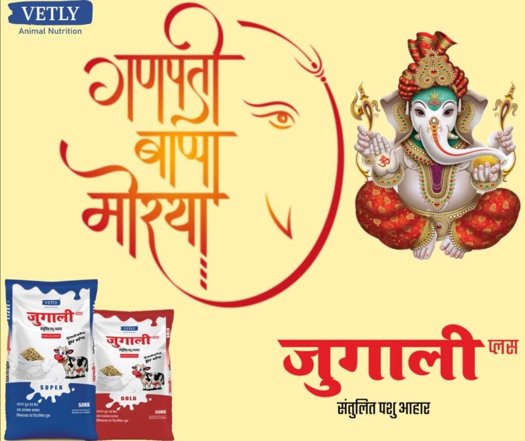 Jugali Cattle feed