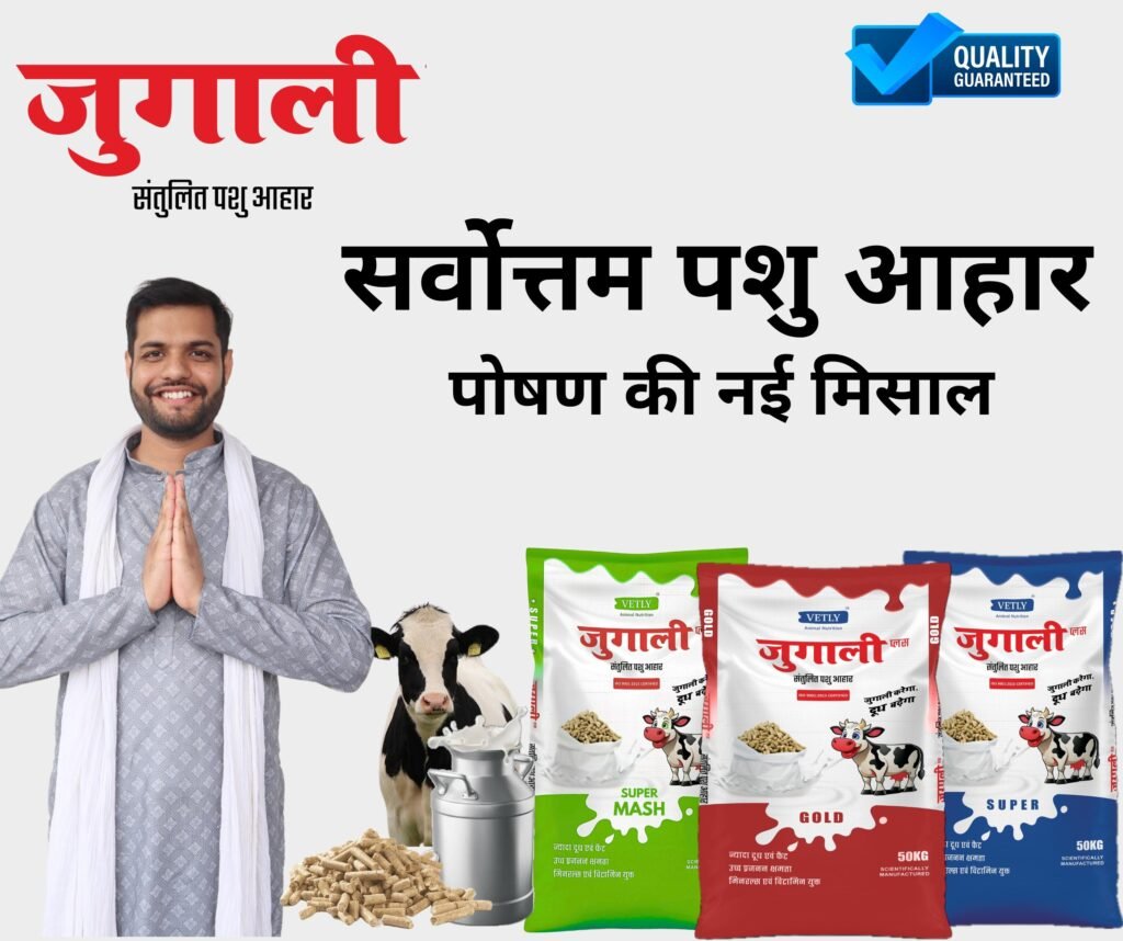 Adarsh Patel - Jugali Cattle Feed Owner
