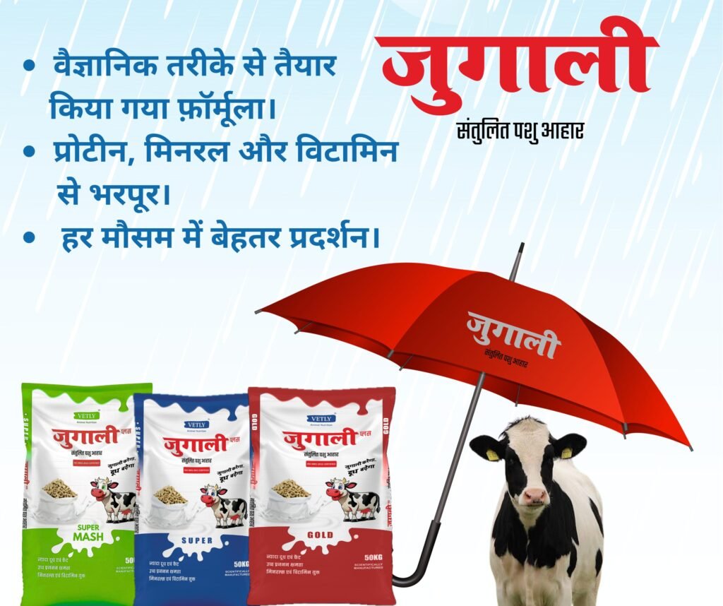 MASH Cattle feed