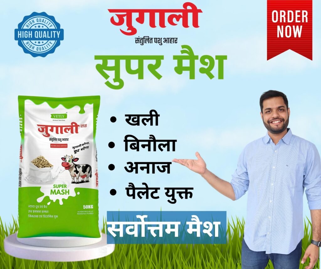 Jugali Mash