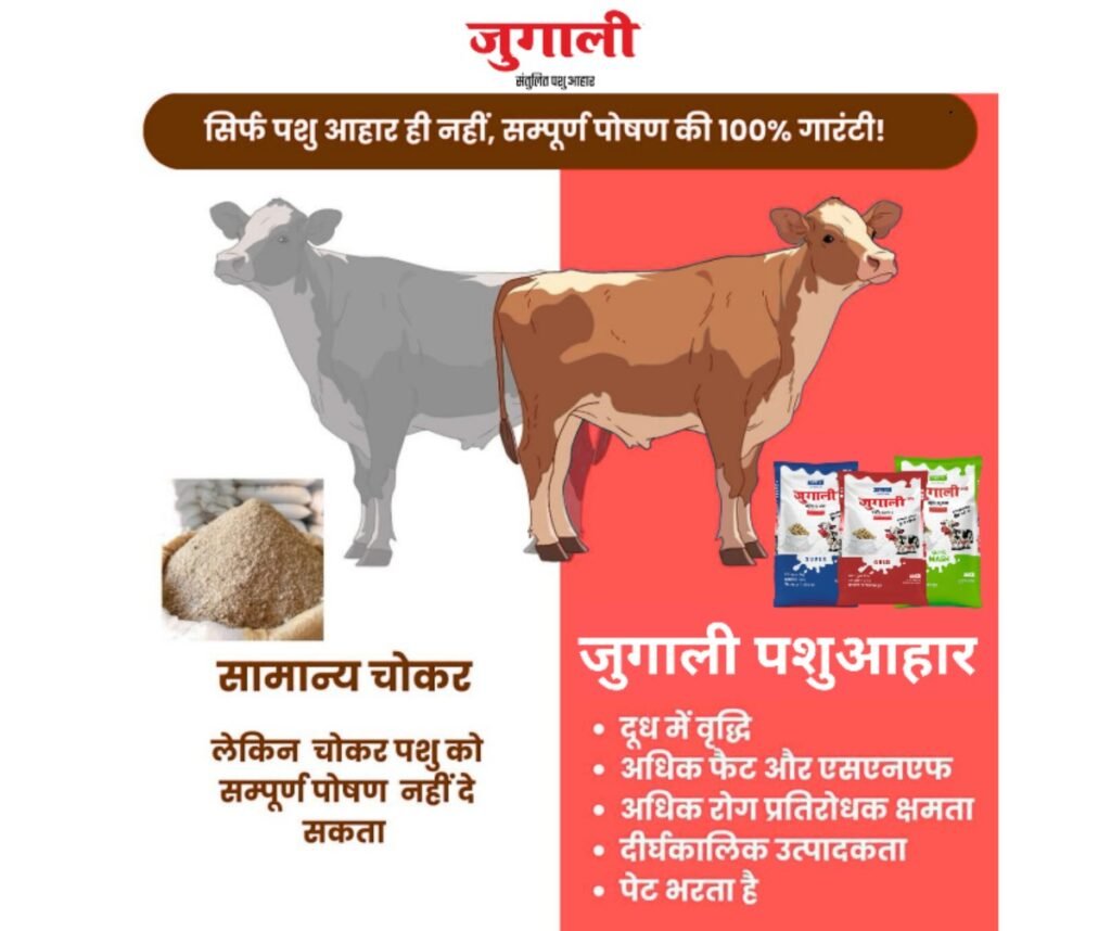 Jugali Churi Mash